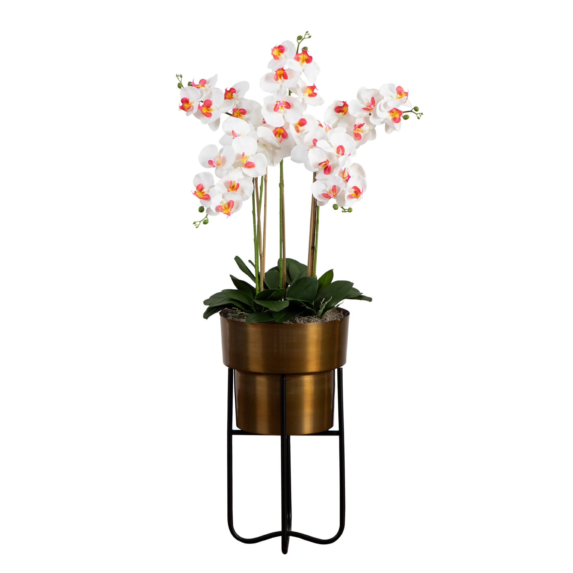4ft. White Orchid Arrangement in Brass Metal Planter with Stand
